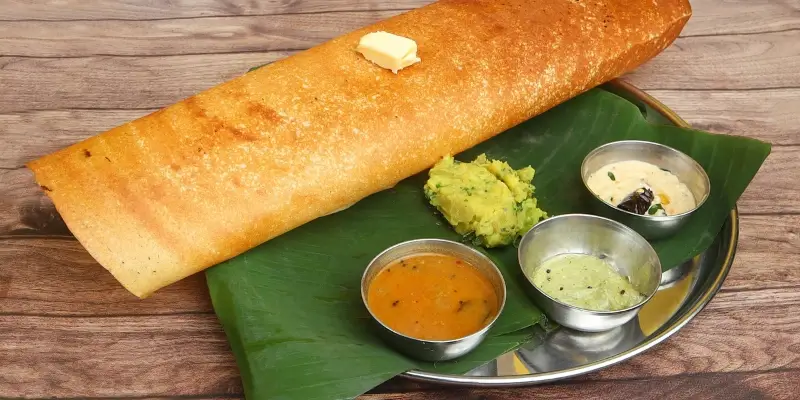A crispy dosa served on a banana leaf with chutneys and potato filling on a metal plate.