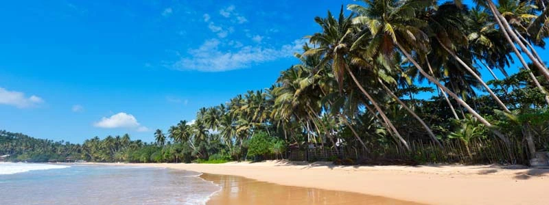 Sri Lanka’s East Coast: A must visit heaven for the Travelers