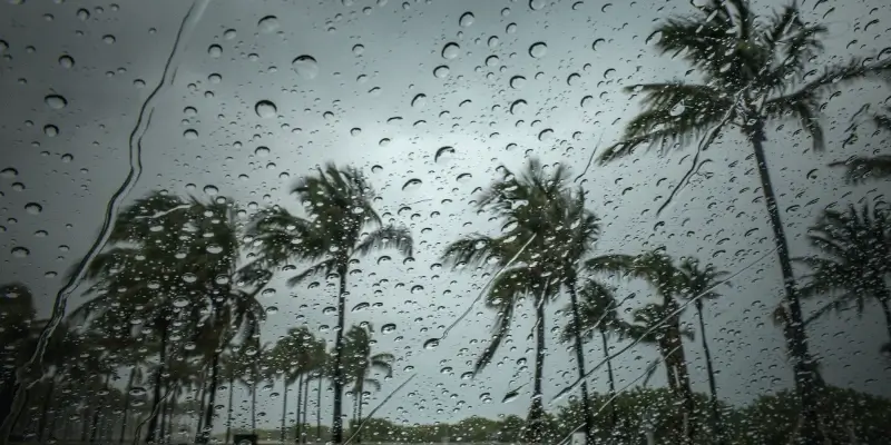 A view through a rain covered car window showing palm trees swaying on a cloudy day, with water droplets scattered across the glass.