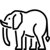 Wildlife Safaris