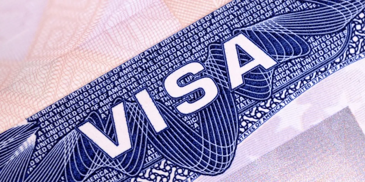 A close up view of a blue and white visa document with detailed security patterns.